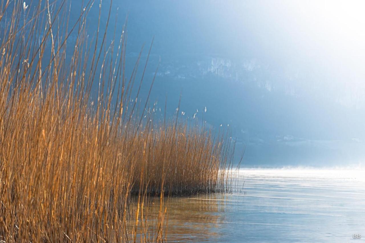 Du Vent Dans Les Arbres -120M2 Belle Vue Sur Le Lac Chindrieux Bagian luar foto
