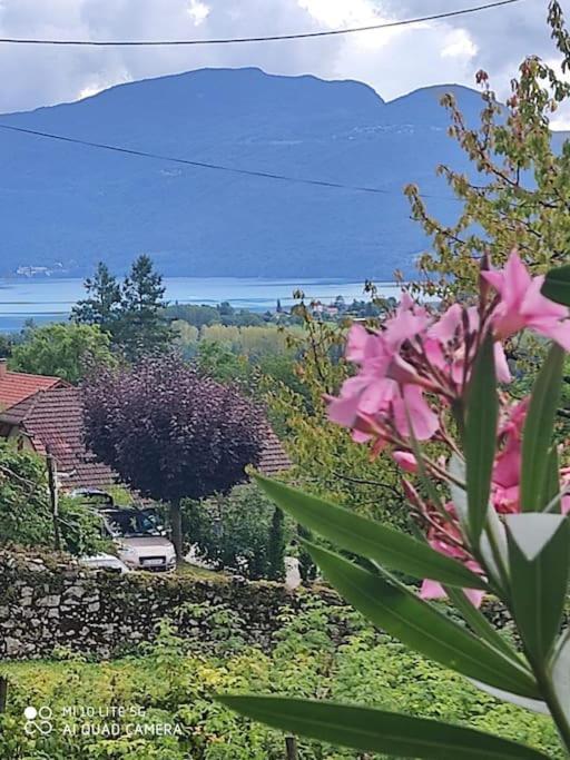 Du Vent Dans Les Arbres -120M2 Belle Vue Sur Le Lac Chindrieux Bagian luar foto