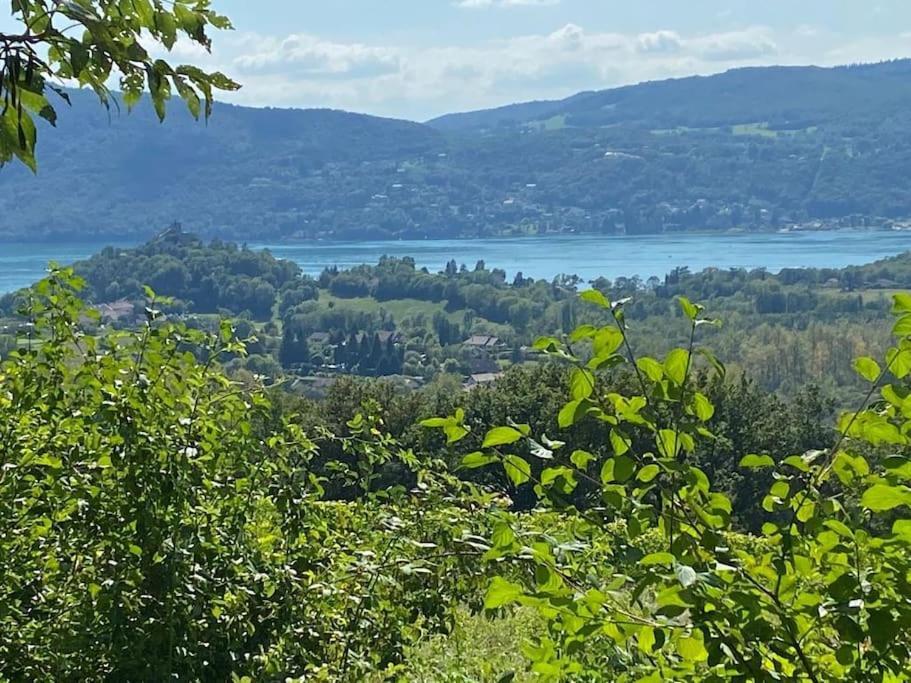 Du Vent Dans Les Arbres -120M2 Belle Vue Sur Le Lac Chindrieux Bagian luar foto
